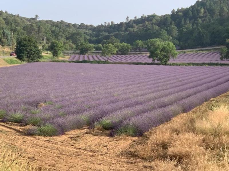 Location De Vacances Rians Haut Var Екстер'єр фото